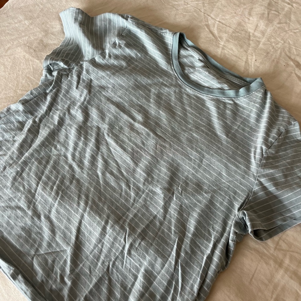 Everlane striped blue and white t-shirt